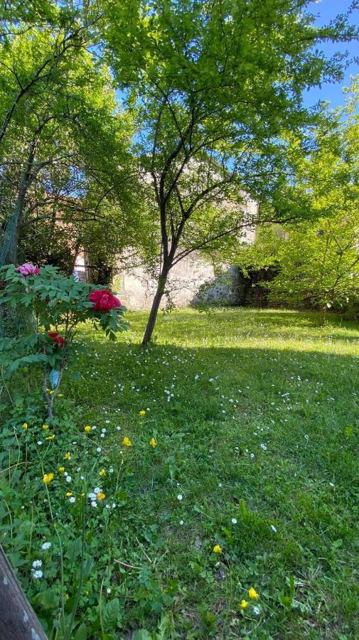 Villa Molinazzo Cicagna Εξωτερικό φωτογραφία
